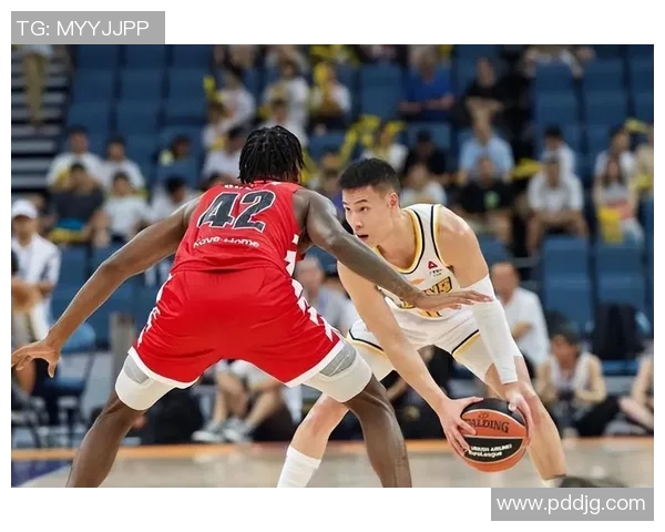 广厦与辽宁篮球对决精彩直播回放全程回顾与分析