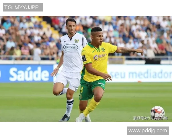 艾维斯与埃斯托里争锋相对谁能在这场对决中脱颖而出