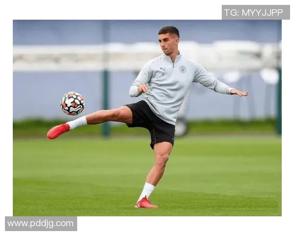 费兰托雷斯的足球之路:从青训新星到欧洲顶级前锋的成长历程 费兰托雷斯的足球之路:从青训新星到欧洲顶级前锋的成长历程