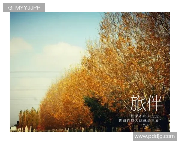 何思雨的心灵旅程与人生哲学探索之路