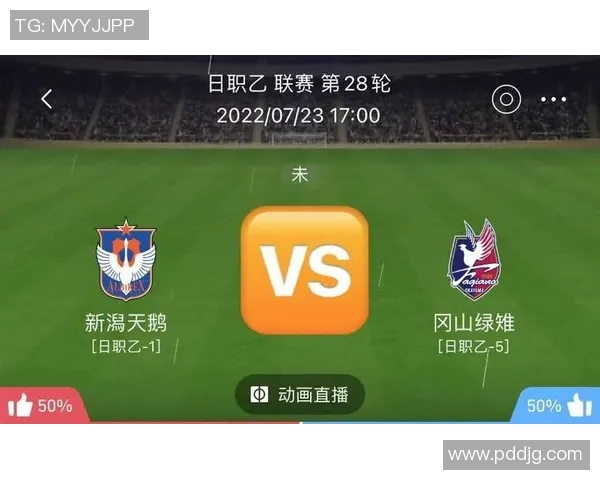 大宫松鼠与冈山禄雉激战正酣谁能在这场对决中笑到最后